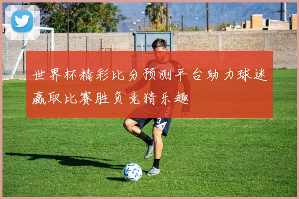 世界杯精彩比分预测平台助力球迷赢取比赛胜负竞猜乐趣