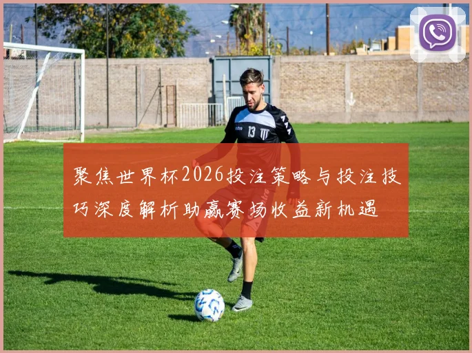 聚焦世界杯2026投注策略与投注技巧深度解析助赢赛场收益新机遇