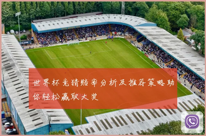 世界杯竞猜赔率分析及推荐策略助你轻松赢取大奖